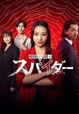 离婚律师Spider2