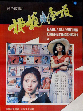 橄榄绿屋顶