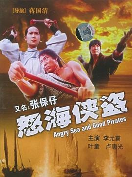 怒海侠盗