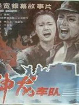 神龙车队