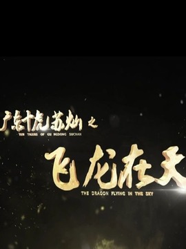 广东十虎苏灿之飞龙在天