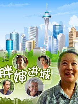胖婶进城