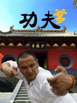 功夫爹