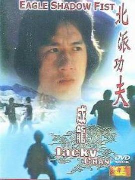 北派功夫