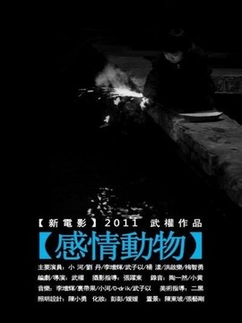 感情动物
