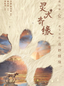 灵犬奇缘