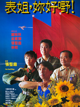 表姐当家