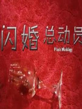 闪婚总动员