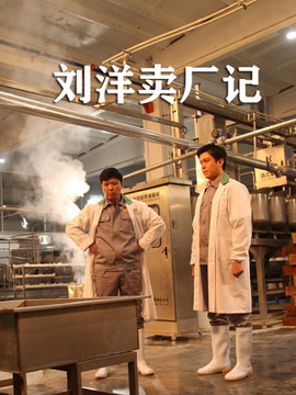 刘洋卖厂记