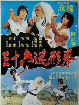 三十六迷形拳
