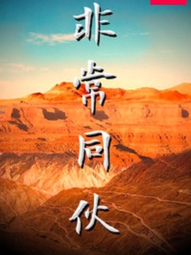 非常同伙