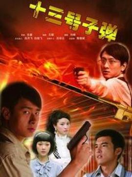 第十三号子弹