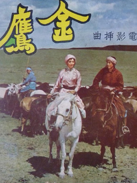 金鹰