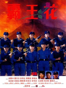 霸王花