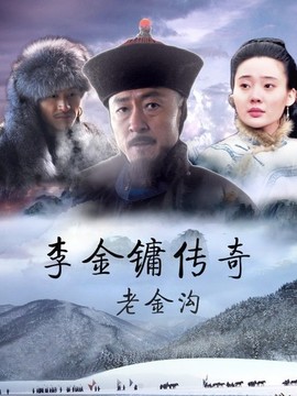 李金镛传奇之老金沟
