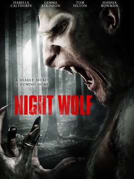 夜狼