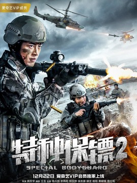 特种保镖2