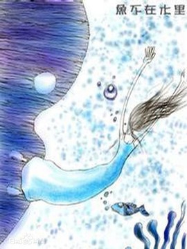 鱼不在水里