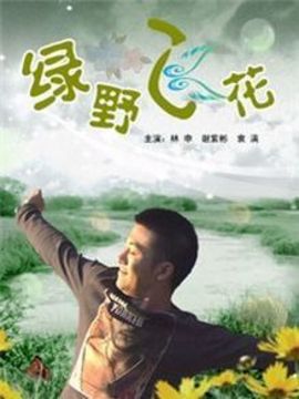 绿野飞花