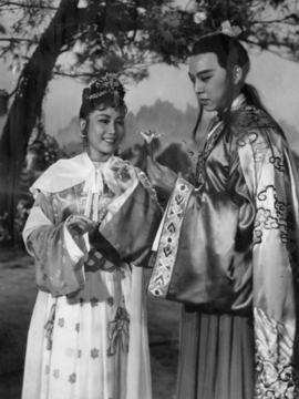 马兰花
