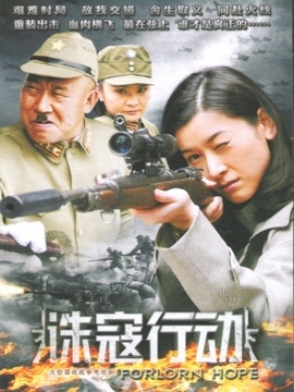 诛寇行动