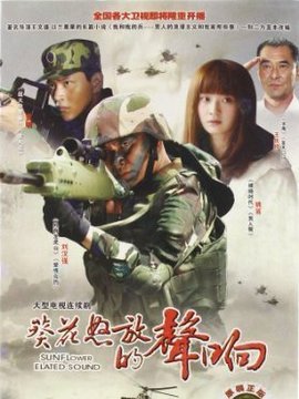 野狼突击队