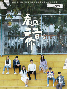 看见声音的你