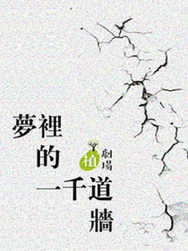 梦里的一千道墙