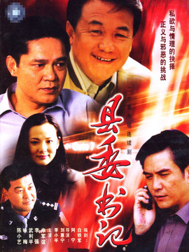 县委书记