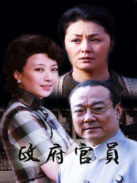 政府官员