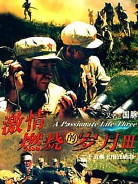 激情燃烧的岁月之国脉