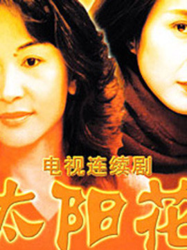 太阳花
