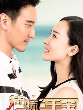 追婚记