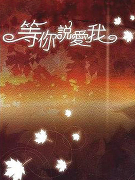 等你说爱我