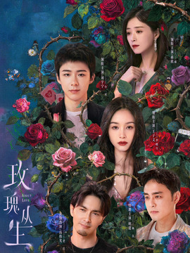 玫瑰丛生