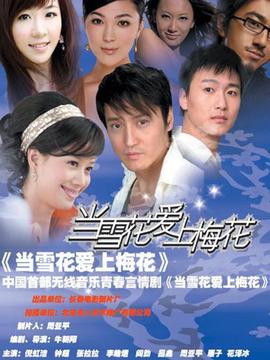当雪花爱上梅花