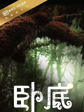 卧底第一季