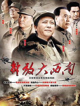 解放大西南