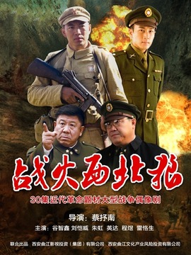战火西北狼