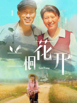 兰桐花开