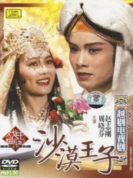 沙漠王子