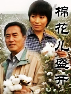棉花儿盛开